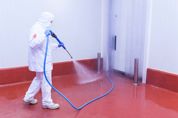 Best Spring Cleaning  in Oak Ridge, FL